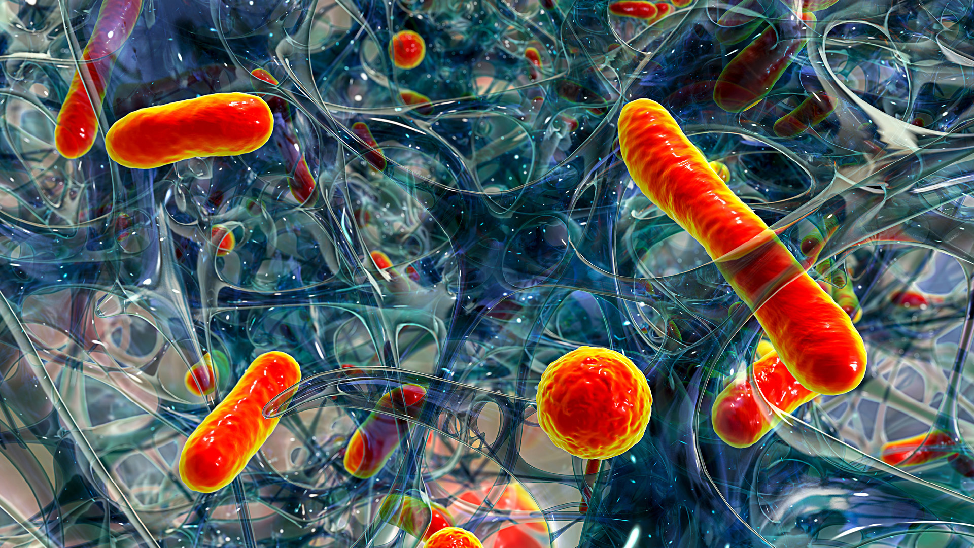 The emergency and prehospital phases of sepsis care